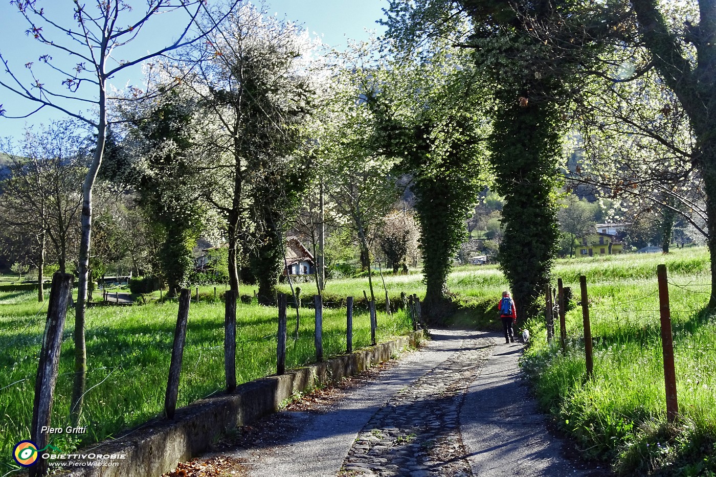 14 Sul sentiero strada agrosilvopastorale F. Benedetti.JPG -                                